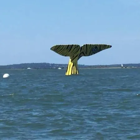 Rayon De Soleil * Αρασόν